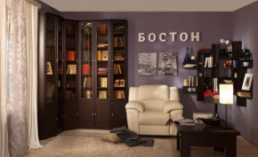Шкаф для книг завершающий 34 Бостон в Иланском - ilanskiy.mebelnovo.ru | фото